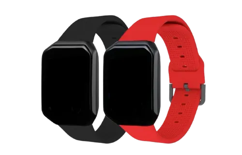 Bipeur Serveur LC-S200