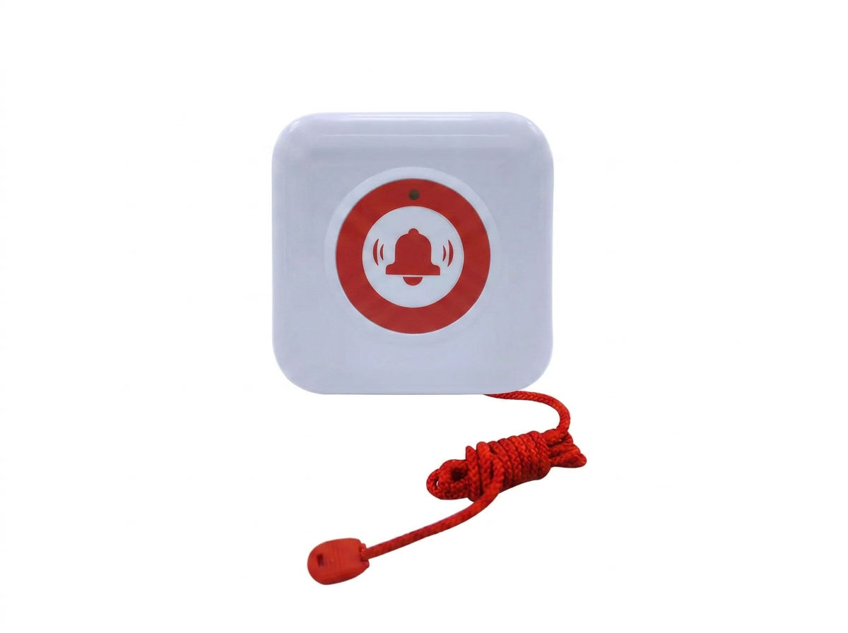 Bouton à Tirette pour Sanitaires